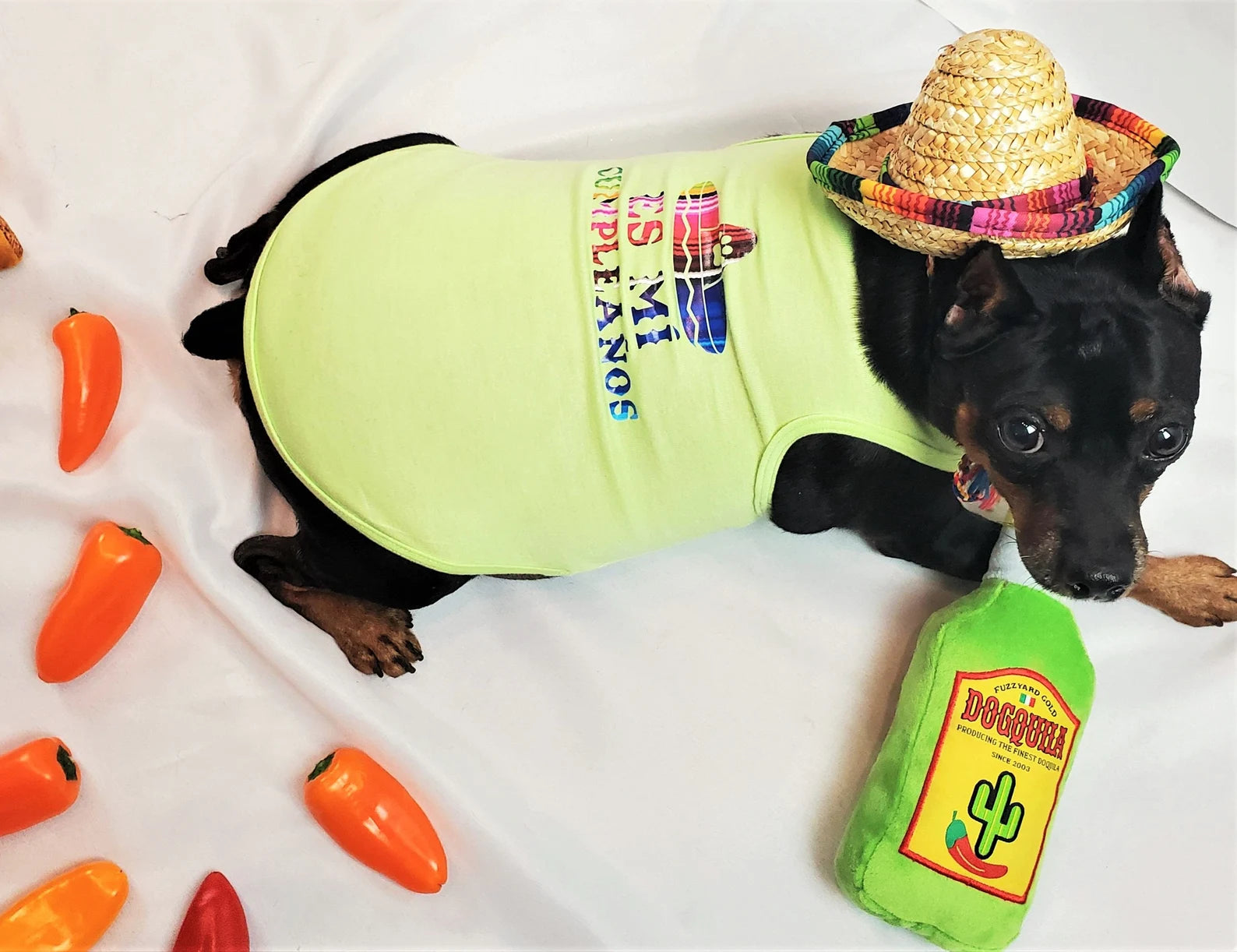 Birthday Party Package | Feliz Cumpleanos